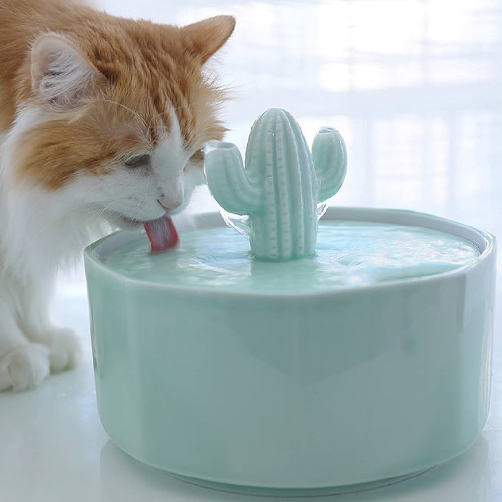 Picture of: MYB Automatic Loop Pet Water Fountain, Cactus Shape Ceramic Kitten Drinking  Fountain L High Capacity, for Cat, Dog, Other Pets-010